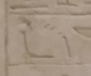 D60 on an Egyptian monument