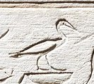 G29 on an Egyptian monument