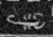 L19 on an Egyptian monument
