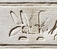 L2a on an Egyptian monument