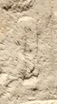 S29 on an Egyptian monument