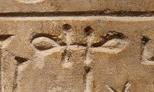 V16 on an Egyptian monument